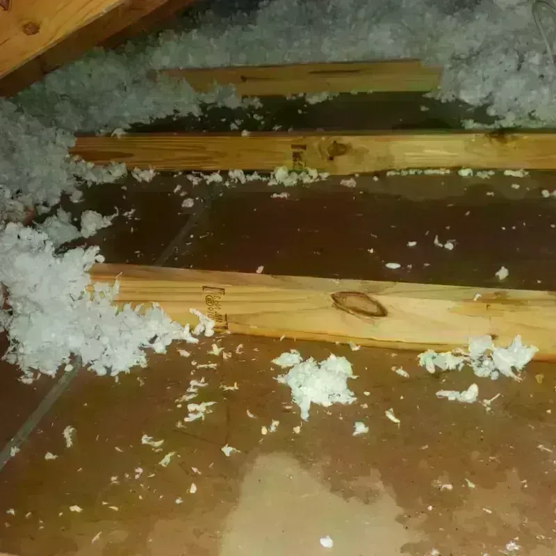 Attic Water Damage in Pekin, IL