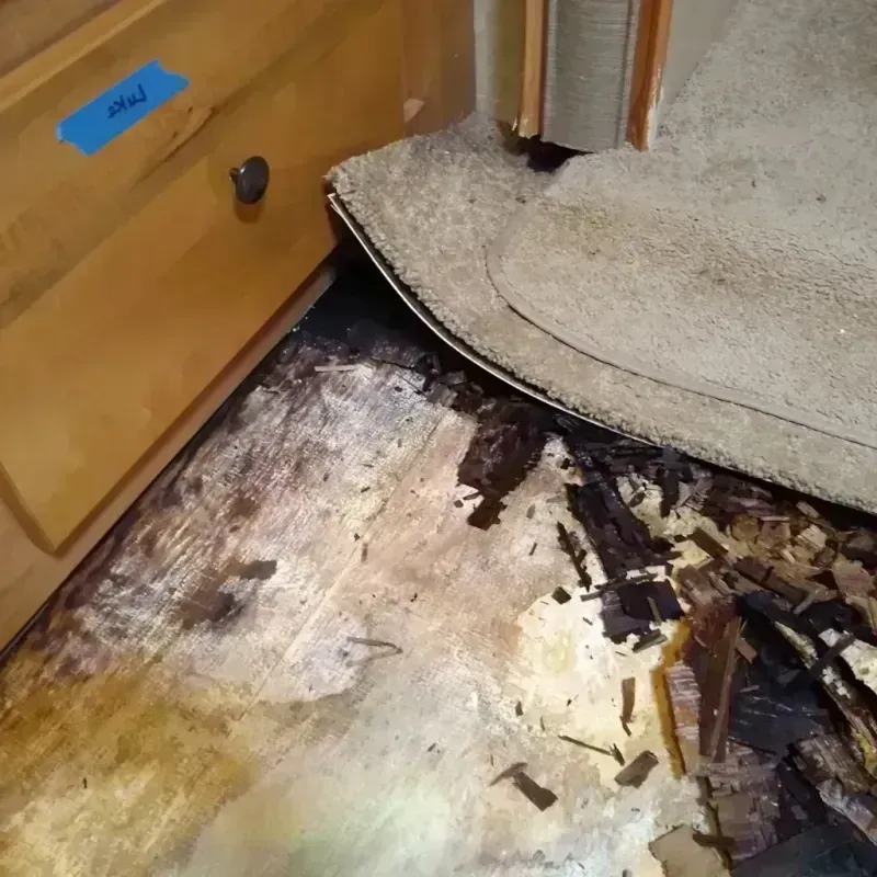 Wood Floor Water Damage in Pekin, IL